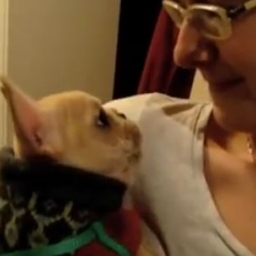 Powiedziała do swojego psa że go kocha, niespodziewała sie tego co jej odpowie