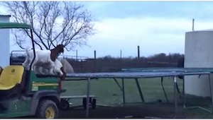 Kozy odkryły trampolinę rolnika. To musiało skończyć się na wesoło! 