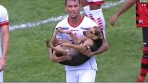 To, jak piłkarze zareagowali na widok psa biegającego po boisku, było świetne!