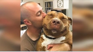 Jej ukochany pitbull umiera. 3 miesiące później widzi w Internecie TEGO psa i na