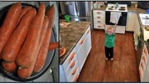 Chłopiec zaczął zbierać marchewki i układać je w kuchni. Efekt? Sami zobaczcie!