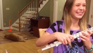 Dziewczyna ćwiczy grę na flecie, ale to reakcja jej psa sprawiła, że to wideo ob
