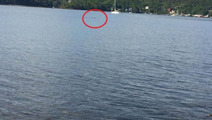 Mężczyzna widzi, że ktoś szamocze się w jeziorze - bez wahania wskakuje do wody