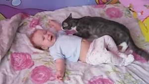 Dziecko zaczyna płakać - reakcja tego kota Was zaskoczy!