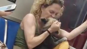 Szokujące nagranie przedstawia kobietę, która uderza psa. Po chwili jeden z pasa