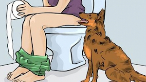 Dlaczego Twój pies idzie za Tobą do łazienki - powód jest o wiele ważniejszy niż