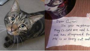 Właściciel kota śmiertelnie potrąconego przez samochód dostał list od sąsiadki. 