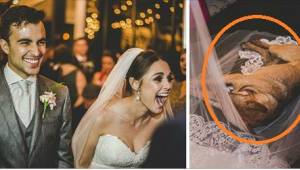 Reakcja pary na widok psa przeszkadzającego im w czasie mszy ślubnej, zawojowała