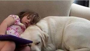 Zadzwoniła do nauczyciela swojej 4-letniej córki, bo zobaczyła, że jej pies nagl