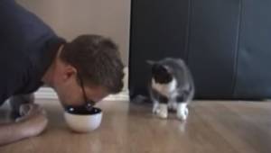 Genialna reakcja kota na widok swojego pana udającego, że je z jego miski!