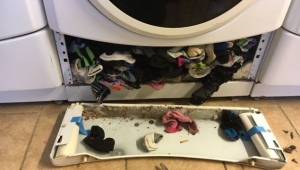 Skarpetki mogą zniknąć wewnątrz pralki podczas prania, oto jak temu zapobiec.