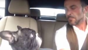 Mężczyzna śpiewa piosenkę w samochodzie, ale cały występ kradnie jego pies, któr