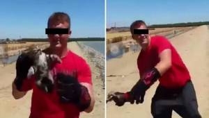 Nastolatek sfilmował jak wrzuca kotka do jeziora, niedługo potem policja zjawiła