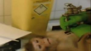 W sieci zostało opublikowane nagranie na którym widać jak są traktowane małpki w