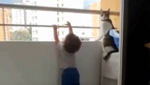 Dziecko chciało wspiąć się na barierkę balkonu, nie uwierzysz jaka była reakcja 